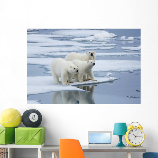 Polar Bear Yearling Cubs Wall Mural