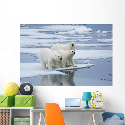Polar Bear Yearling Cubs Wall Mural