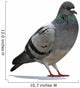 Grey Pigeon Wall Decal