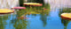Floating Pads Wall Mural