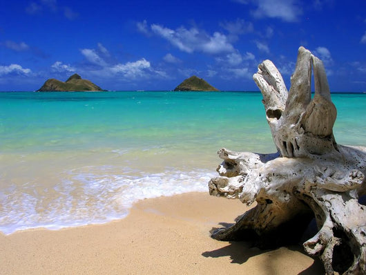 Lanikai Beach Wall Mural