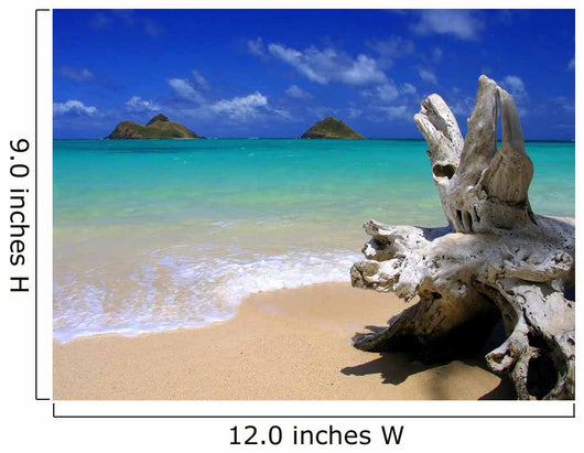 Lanikai Beach Wall Mural