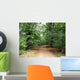 Waldweg Wall Mural