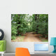 Waldweg Wall Mural