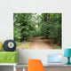 Waldweg Wall Mural