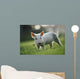 Young Piglet Wall Mural