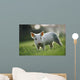 Young Piglet Wall Mural