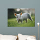 Young Piglet Wall Mural