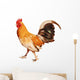 Healthy Rooster Wall Decal