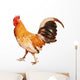 Healthy Rooster Wall Decal