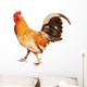 Healthy Rooster Wall Decal