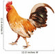 Healthy Rooster Wall Decal