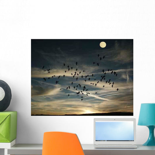 Sunrise Wall Decal Design 4