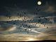 Sunrise Wall Decal Design 4