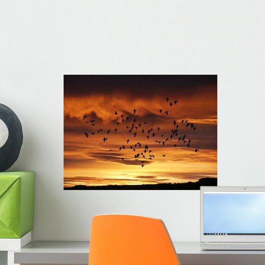 Sonnenaufgang Wall Decal