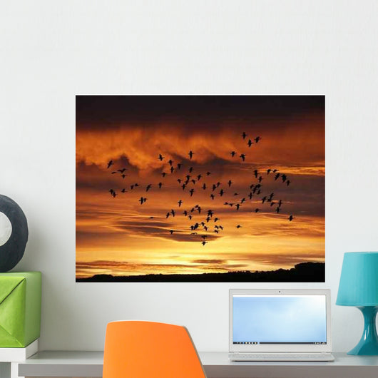 Sonnenaufgang Wall Decal