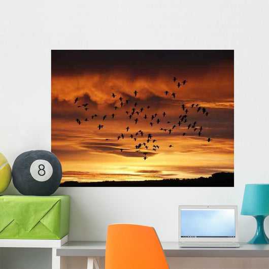Sonnenaufgang Wall Decal