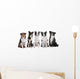 five border collie dogs Wall Decal
