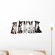five border collie dogs Wall Decal