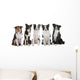 five border collie dogs Wall Decal