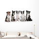 five border collie dogs Wall Decal