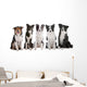 five border collie dogs Wall Decal