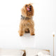 Dog Wall Decal