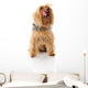 Dog Wall Decal