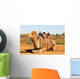 Camel Sitting with Saddle Wall Mural