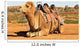 Camel Sitting with Saddle Wall Mural