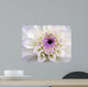 Closeup White Dahlia