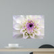 Closeup White Dahlia