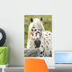 Horse Wall Mural