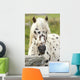 Horse Wall Mural
