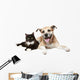 Close-up Portrait Cat and