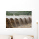 Flooded River Wall Decal