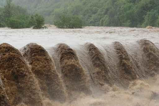 Flooded River Wall Decal