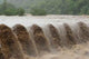 Flooded River Wall Decal