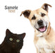 Cat and Dog on a White Background Wall Decal