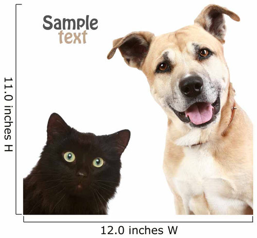 Cat and Dog on a White Background Wall Decal