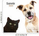 Cat and Dog on a White Background Wall Decal