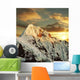 Beautiful Peak Alpamayo Wall Decal Design 3