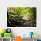 River with Rocks Forest