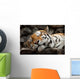 Sleeping Tiger Wall Mural