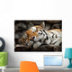 Sleeping Tiger Wall Mural