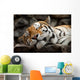 Sleeping Tiger Wall Mural