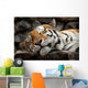 Sleeping Tiger Wall Mural