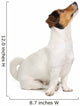 Jack Russel Terrier Puppy Wall Decal