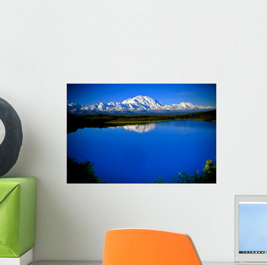 Mt. McKinley from Reflection pond Wall Mural