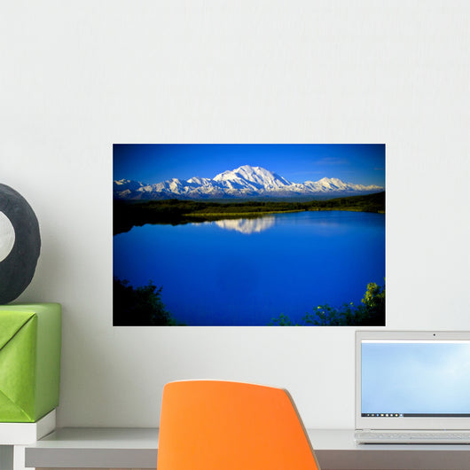 Mt. McKinley from Reflection pond Wall Mural